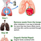 Herbal Lung Cleanse Mist – Natural Respiratory Support Spray | 100% Herbal Lung Detox