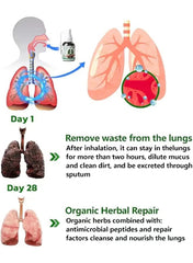 Herbal Lung Cleanse Mist – Natural Respiratory Support Spray | 100% Herbal Lung Detox
