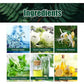 Herbal Lung Cleanse Mist – Natural Respiratory Support Spray | 100% Herbal Lung Detox